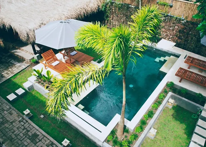 Dalai Tropical